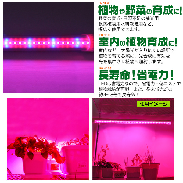 lk073-02.jpg