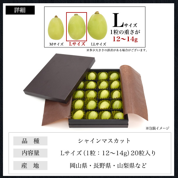 シャインマスカット 贈答用 20粒 Lサイズ 国産 秀品 ぶどう 果物