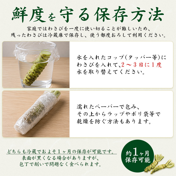 静岡県産 本わさび 生わさび 大サイズ 1本 約100〜120g 国産 ワサビ