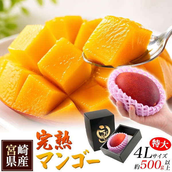 マンゴー 宮崎マンゴー 4L 1玉 500g以上 完熟マンゴー 宮崎県産 国産