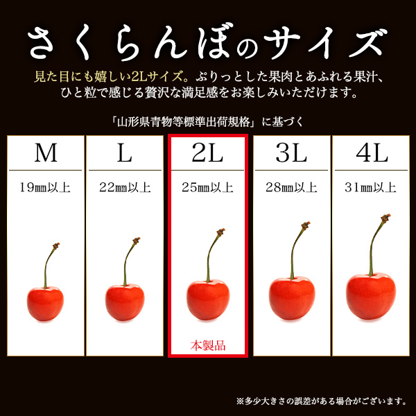 お中元 さくらんぼ 佐藤錦 紅秀峰 山形県 北海道 2Lサイズ 秀品 20粒