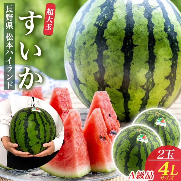 すいか専用 すいか 松本ハイランド 長野県産 A等級 4Lサイズ 2玉 大玉 特大 スイカ
