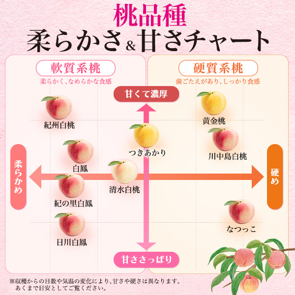 桃 あら川の桃 和歌山県産 お中元 2026 赤秀品 約2kg 5〜6玉 完熟桃
