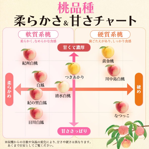 桃 ギフト 和歌山産 旬の桃食べ比べセット 赤秀品 6玉 もも 贈答用