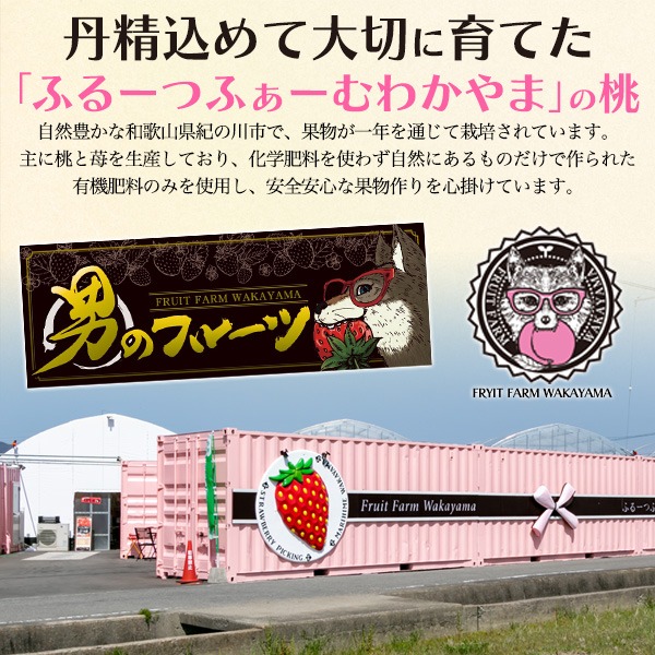 桃 ギフト 和歌山産 旬の桃食べ比べセット 赤秀品 6玉 もも 贈答用