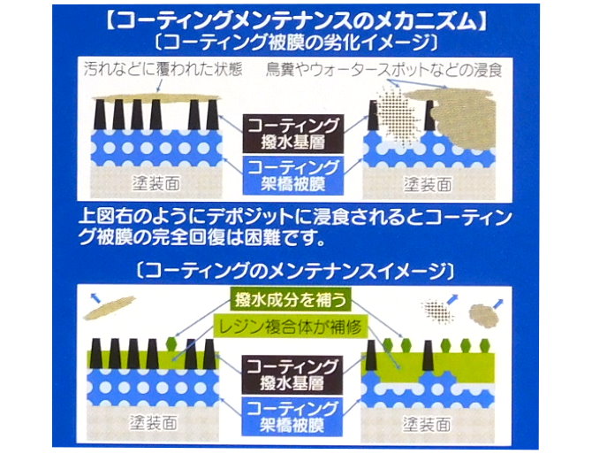 WAKOS ワコーズ リフレッシュコート 160mL 自動車用塗装等の艶