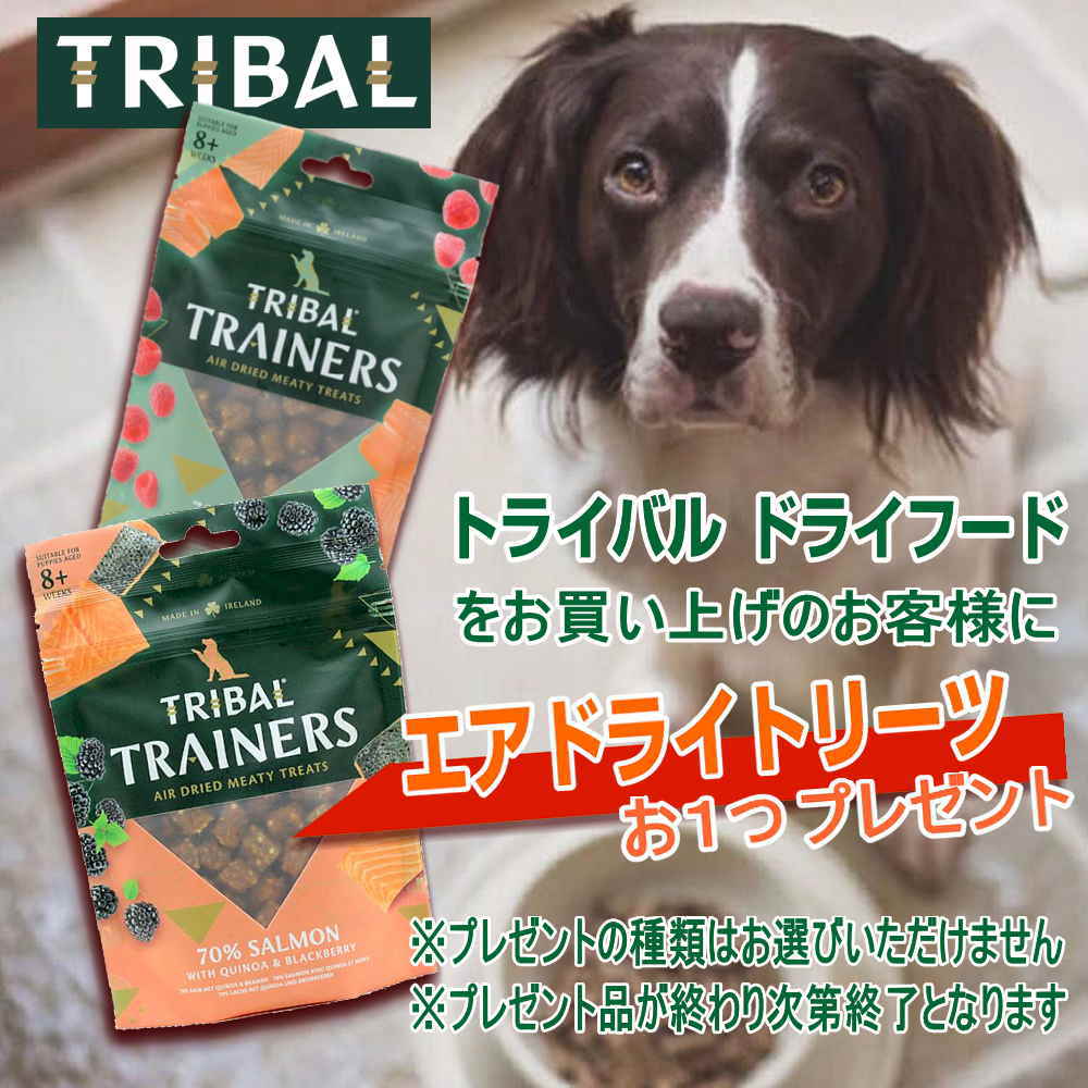 なちゅの専用ページ 394040-1.jpg