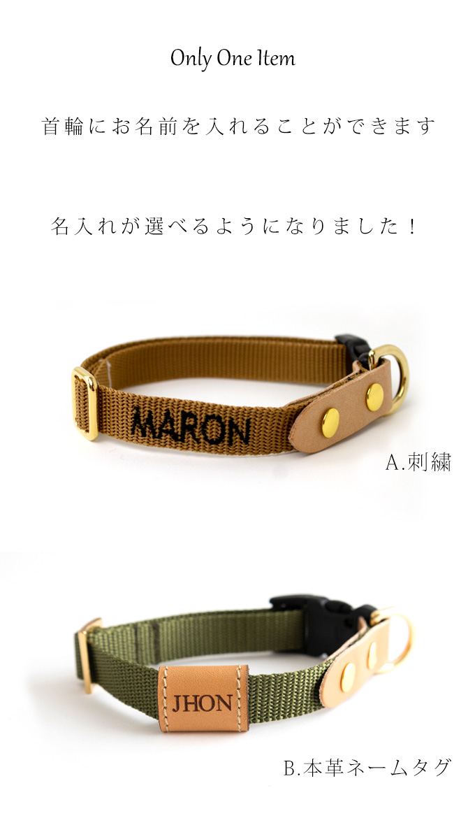 お名前無料刺繍 ショルダーリード 首輪 セット おしゃれ 革 名前