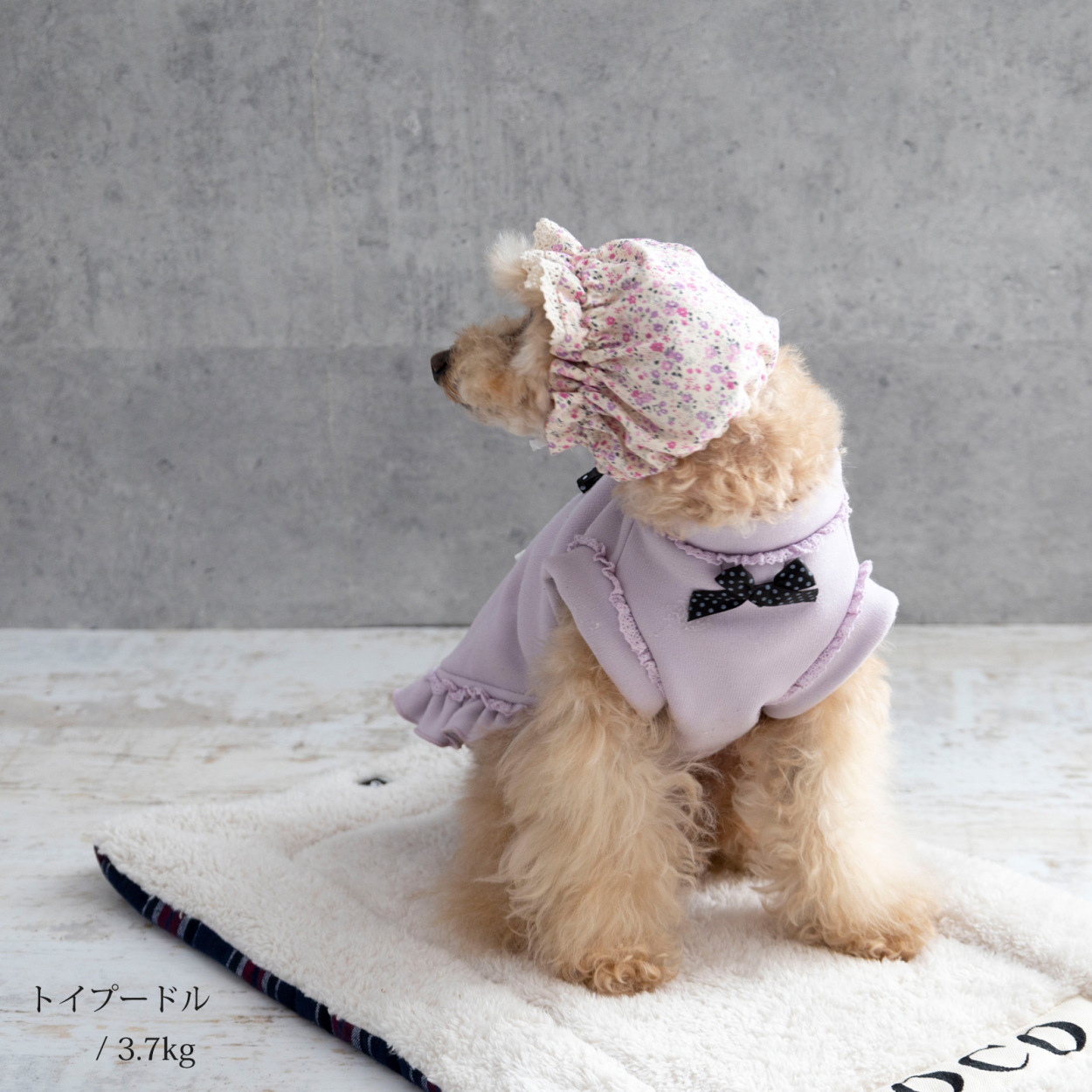 日本製 ペット用 犬 スヌード 耳汚れ防止 耳カバー 食事スヌード サイズ調節可能 フリーサイズ 食事 散歩 かわいい 犬服 おしゃれ いぬ  ネコポス可 :dsnf:NACOLE DOG ナコルドッグ 通販 