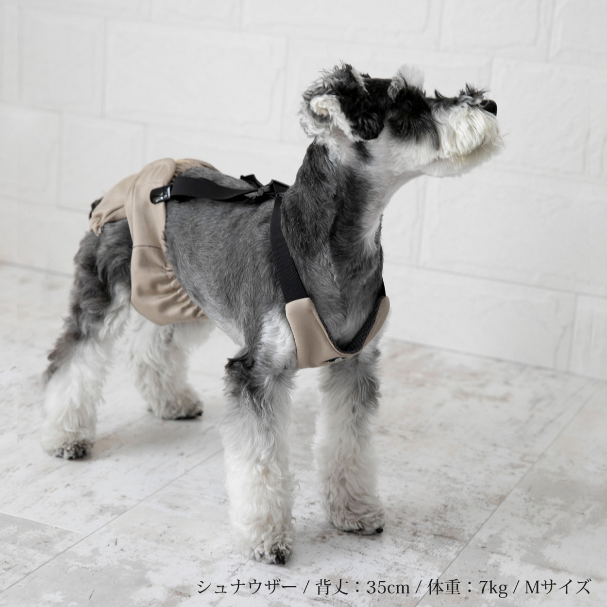 犬 サスペンダー オムツ マナーパンツ Mサイズ