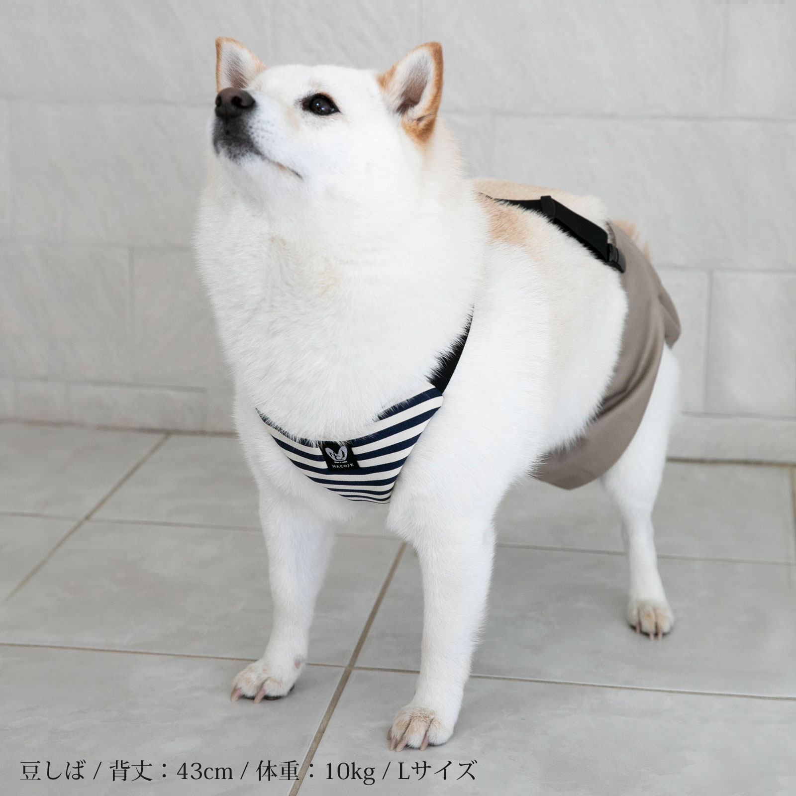 犬 サスペンダー オムツ マナーパンツ Lサイズ