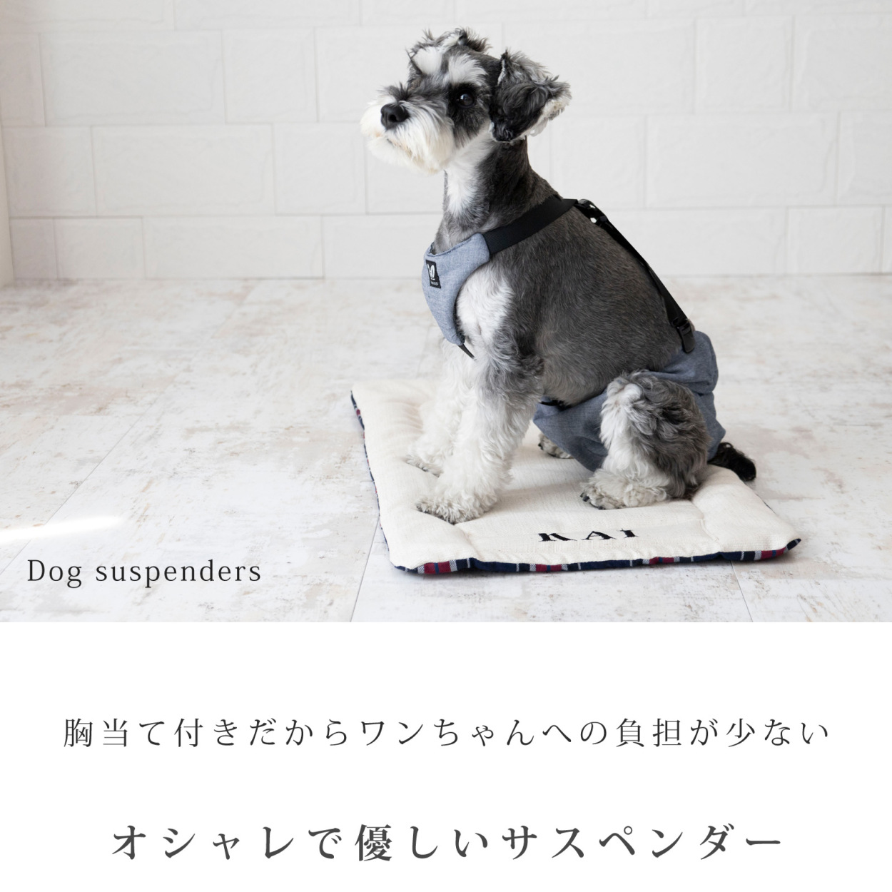 犬 オムツ サスペンダー 胸当て付き 3点留め ずれにくい 犬用