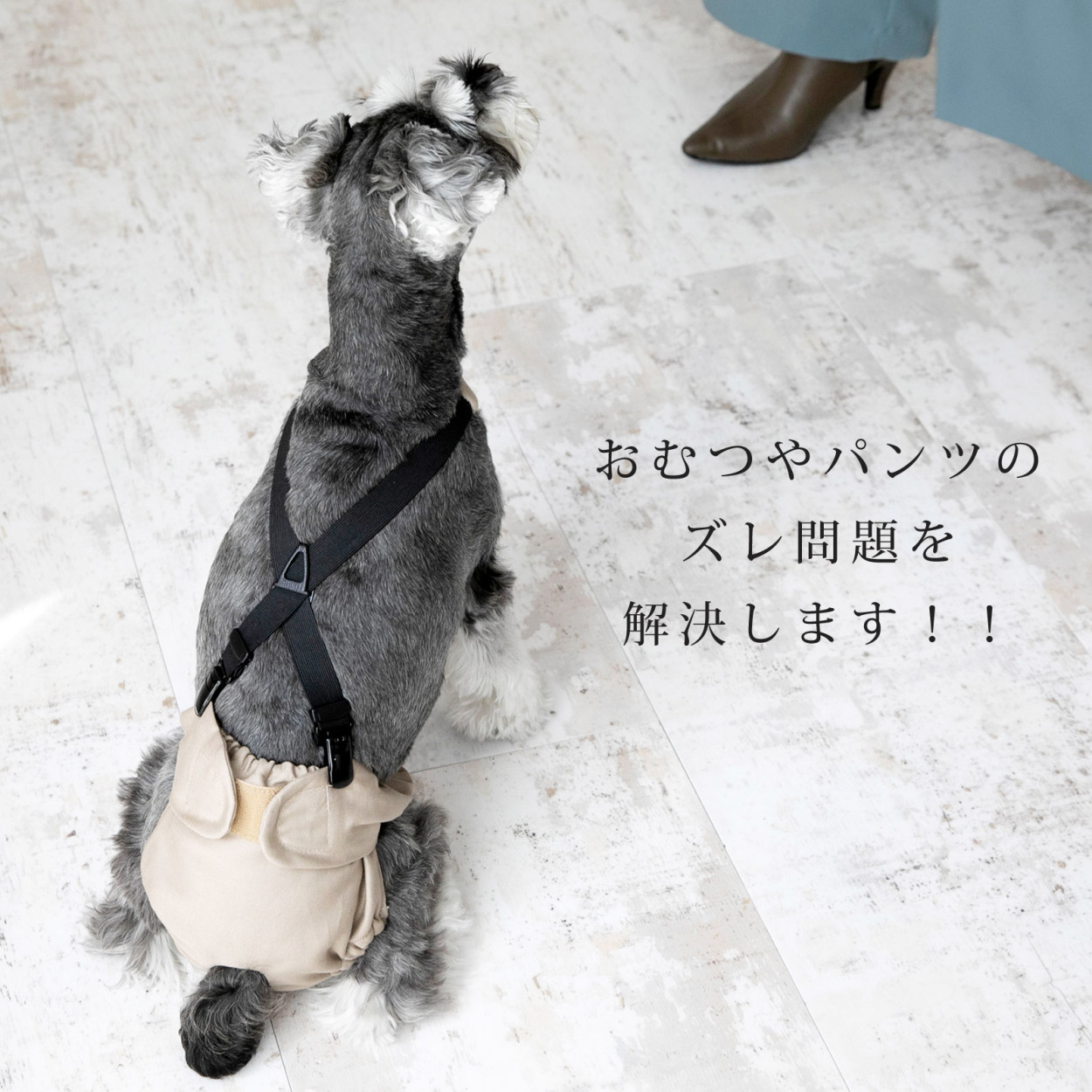 犬 サスペンダー オムツ マナーパンツ ずれにくい