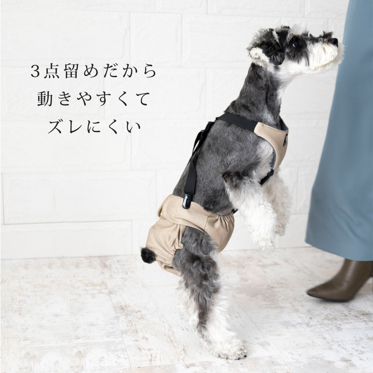 犬 サスペンダー オムツ マナーパンツ 3点留め 動きやすい