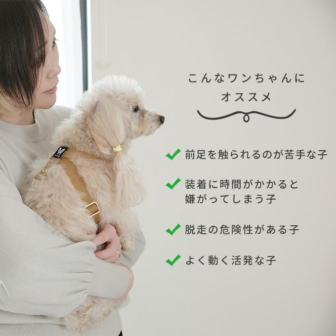 抜けにくい 日本製 犬用 8の字 ハーネス リード セット すっぽ抜けない