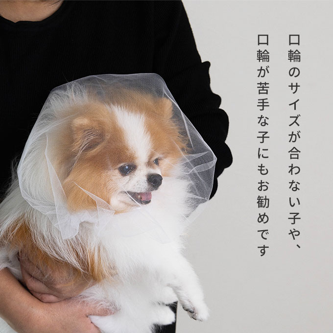 拾い食い防止カバー 誤飲防止 誤食防止 お散歩グッズ