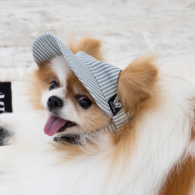 楽天市場】mlb キャップ（犬用品｜ペット・ペットグッズ）の通販