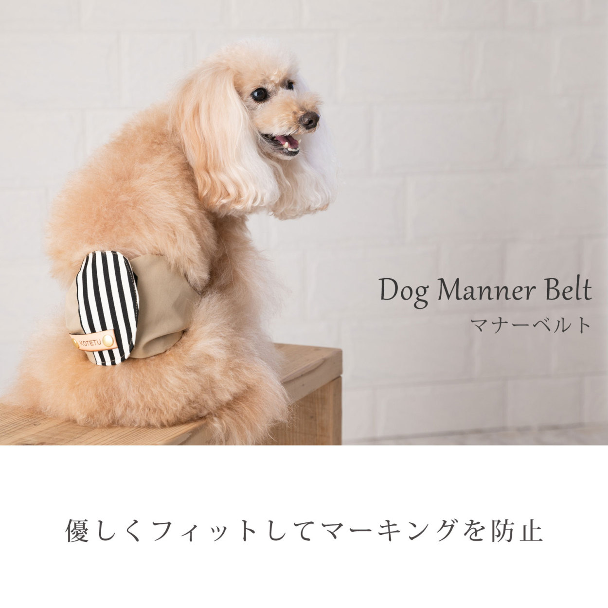 mo～ma様専用☆犬のマナーホルダー☆着脱が簡単でズレ難い☆オーダー