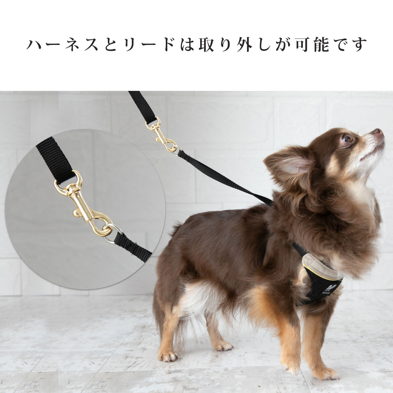 ハーネスリードセット ハーネス 犬 おしゃれ ドッグハーネス 小型犬 簡単 お散歩 シンプル 上品 かわいい ネコポスOK 日本製  :nhns:NACOLE DOG ナコルドッグ - 通販 - Yahoo!ショッピング