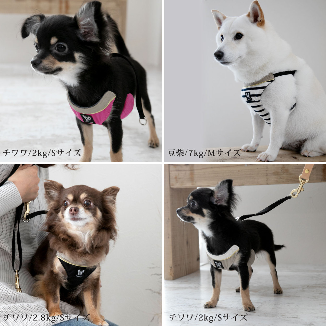 ハーネスリードセット ハーネス 犬 おしゃれ ドッグハーネス 小型犬 簡単 お散歩 シンプル 上品 かわいい ネコポスOK 日本製  :nhns:NACOLE DOG ナコルドッグ - 通販 - Yahoo!ショッピング