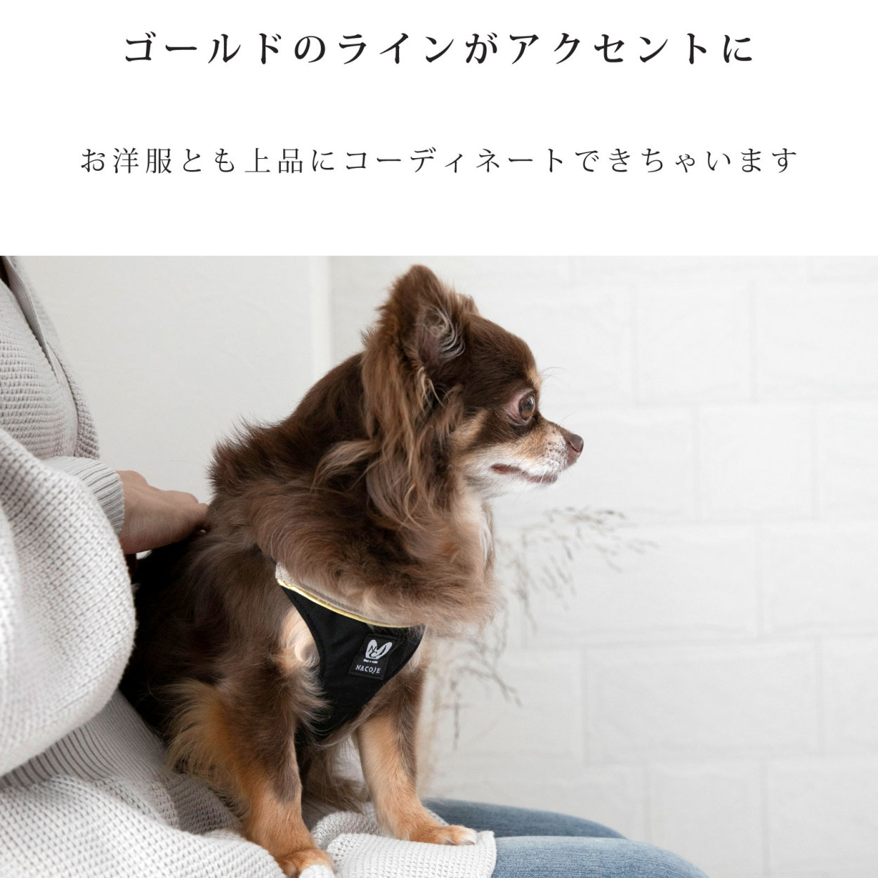 ハーネスリードセット ハーネス 犬 おしゃれ ドッグハーネス 小型犬 簡単 お散歩 シンプル 上品 かわいい ネコポスOK 日本製  :nhns:NACOLE DOG ナコルドッグ - 通販 - Yahoo!ショッピング