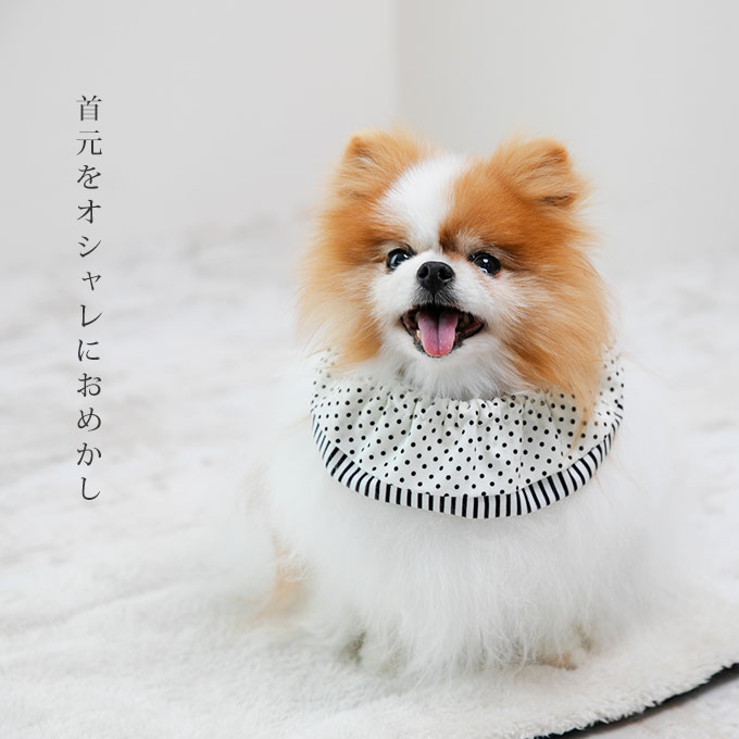 名入れOK 日本製 ペット用 スタイ よだれかけ バンダナ スカーフ 汚れ