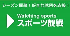 シーズン開幕！好きな球団を応援！スポーツ観戦