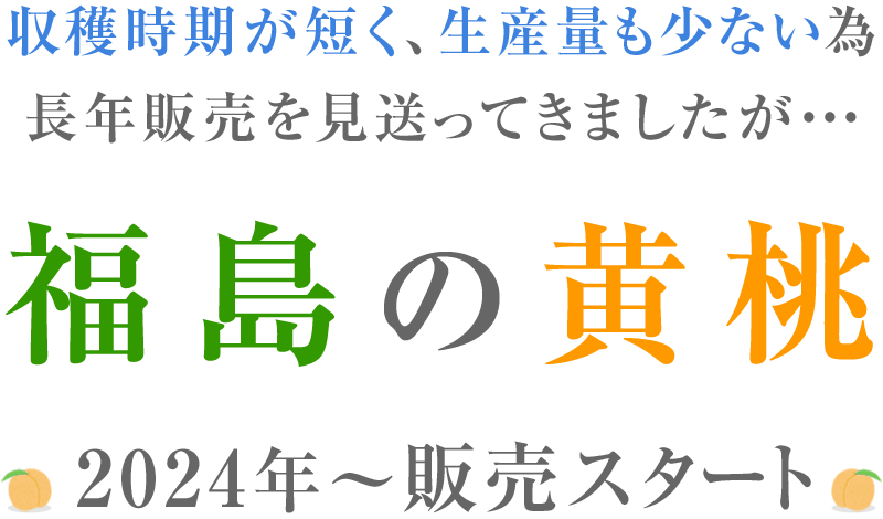 収穫時期が短く、生産量も少ない為、長年販売を見送ってきましたが・・・「福島の黄桃」2024年から販売スタート！