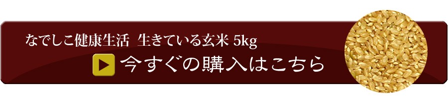 生きている玄米 5kgカートへ