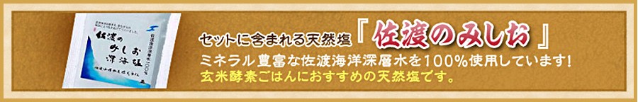 w 雑穀セット(なでしこブレンド500g + 玄米酵素ブレンド500g + 天然塩50g) :tab0015:なでしこ健康生活Yahoo店 - 通販  - Yahoo!ショッピング