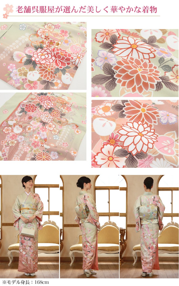 訪問着 19点フルコーディネートレンタルセット「淡い黄緑色地に菊 牡丹