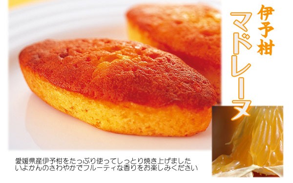 一六本舗 伊予柑マドレーヌ