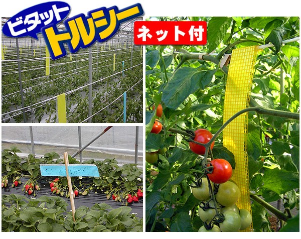 ビタットトルシーネット付の使用例