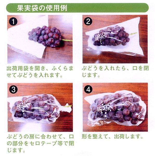 ぶどう出荷用三角袋の使い方