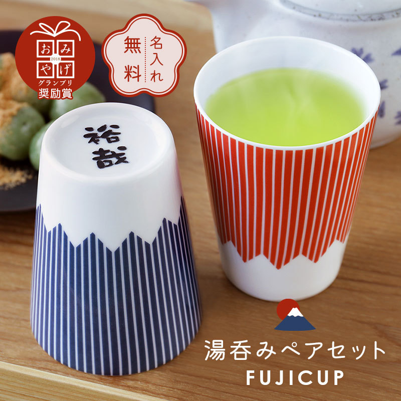 FUJICUP