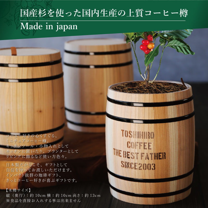 スターバックス（Starbucks Coffee） コーヒー ギフト インテリア