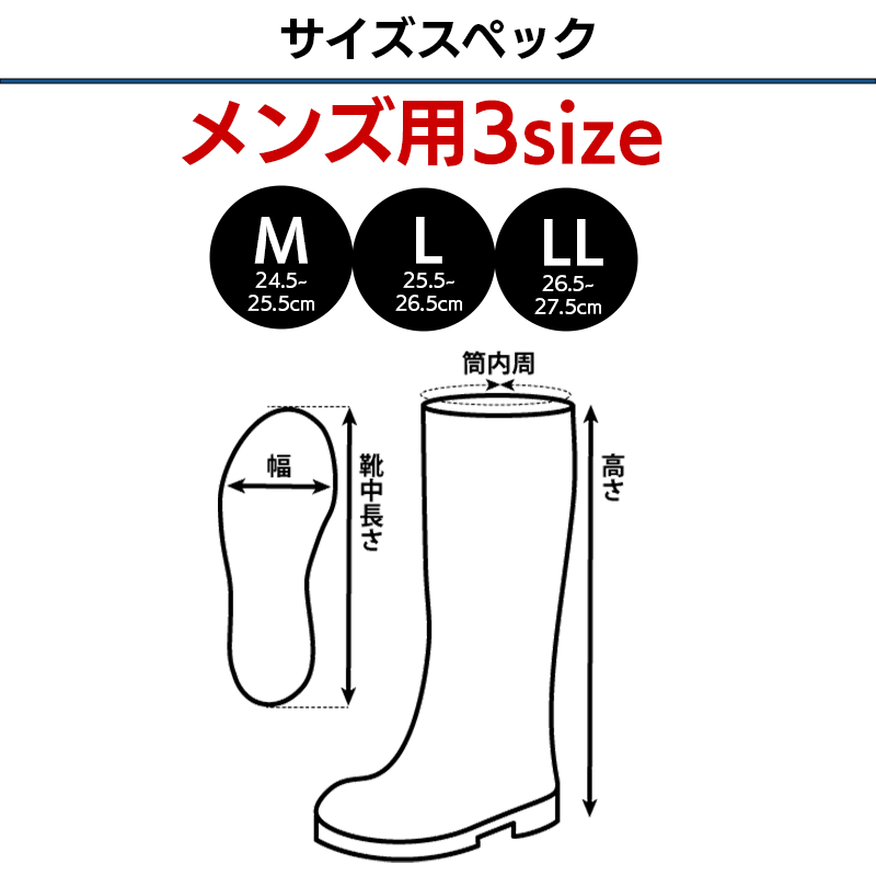 サイズ