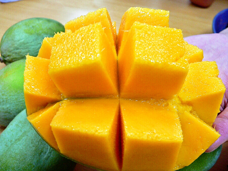 沖縄 フルーツ キーツマンゴー 約1.0kg（1〜3個程度）ギフト用 化粧箱