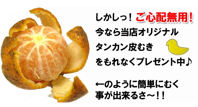 タンカン　沖縄産 たんかん　10KG 楽天市場】タンカン 10kg 優品 送料無料 たんかん 沖縄 みかん