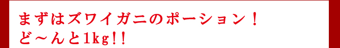 まずはズワイガニのポーションど〜んと1kg！