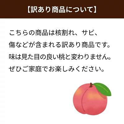訳あり注意点