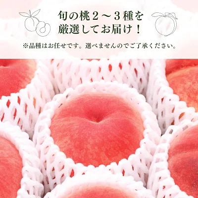 旬の桃