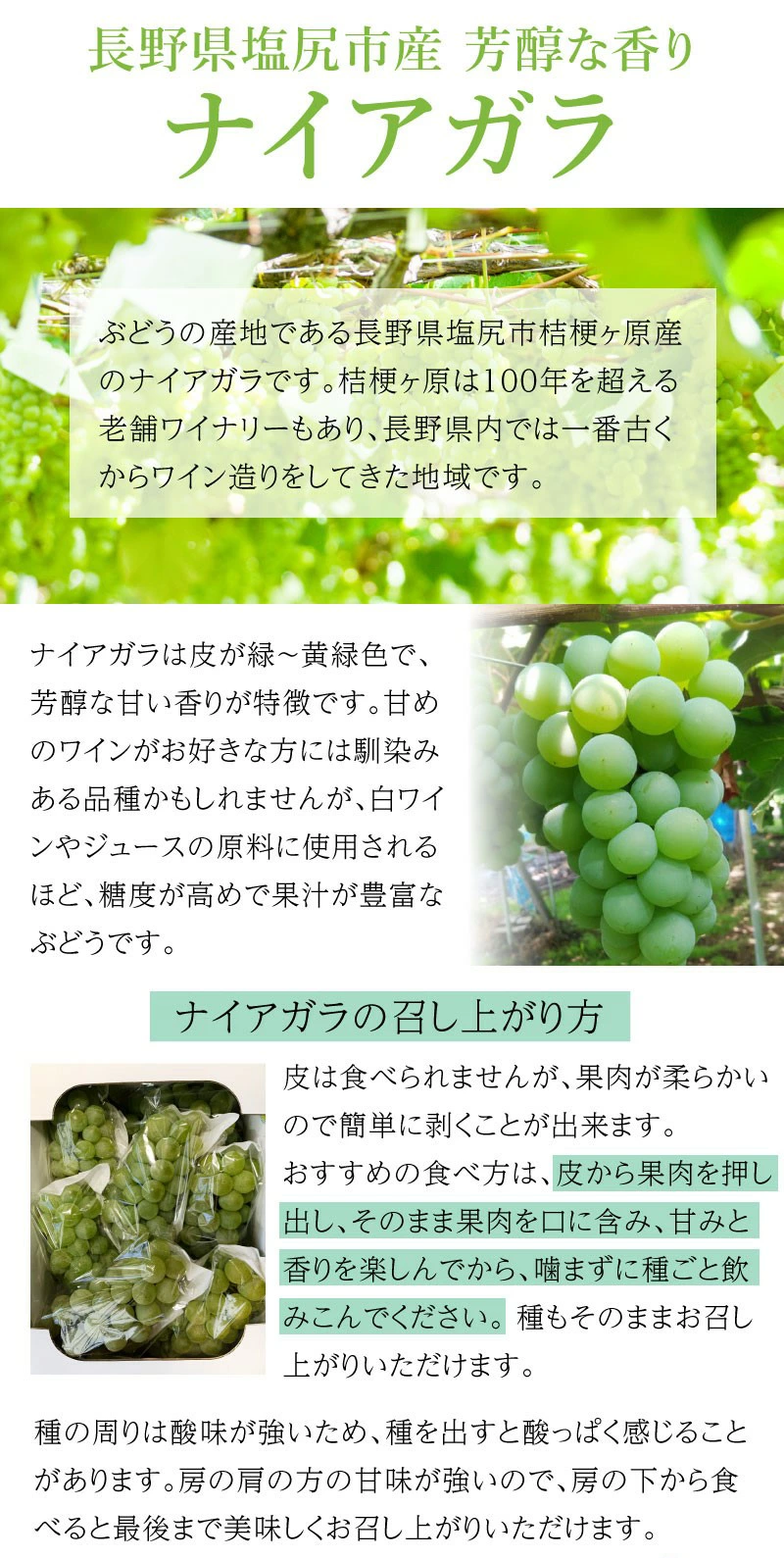 ぶどう ナイアガラ