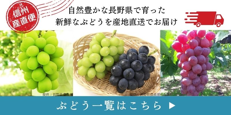 ぶどう一覧