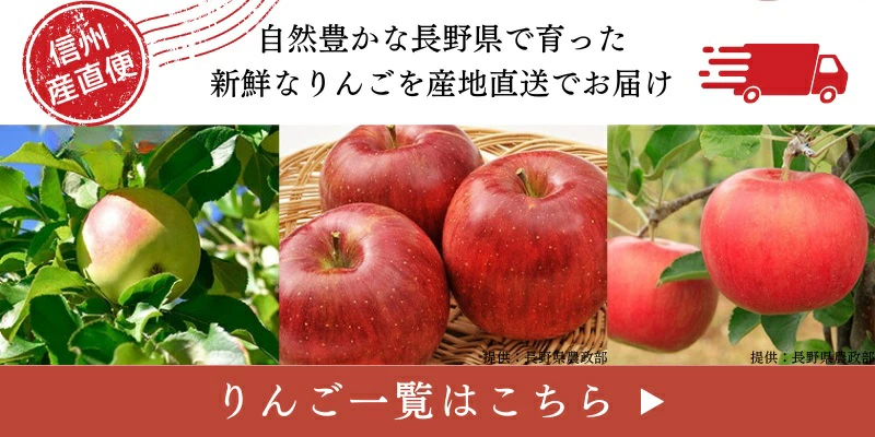 予約販売開始／【長野県産】アルプス乙女 2kg 【10月中旬より出荷