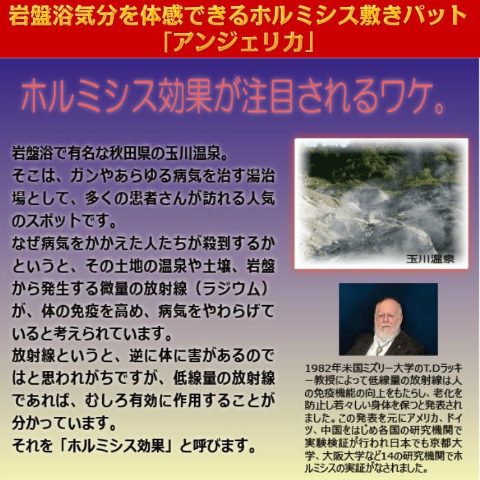 岩盤浴気分を体感できるホルミシス敷きパット「アンジェリカ」【メーカー直送送料無料】【代引き不可】 : ab-0001 : NAGANUMAKIKAKU  - 通販 - Yahoo!ショッピング