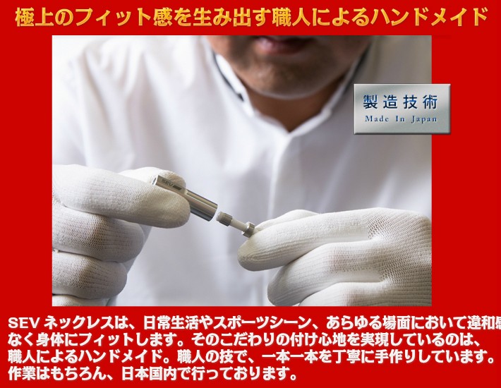 SEV セブ ルーパー3G