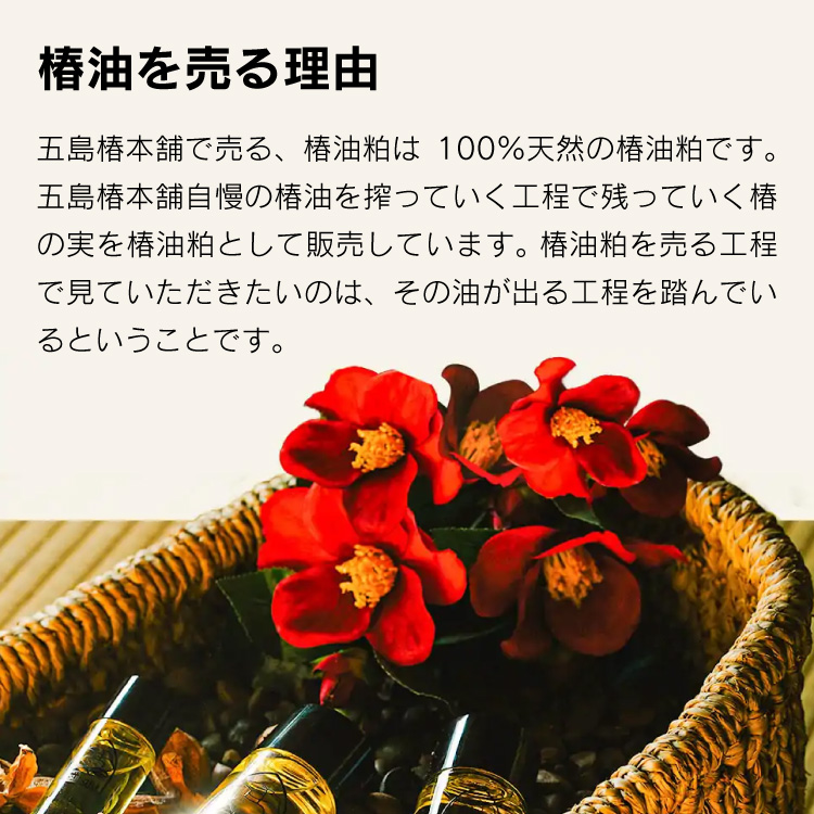 長崎県公式】五島椿本舗 純粋椿油 30ml/80ml/120ml/400ml : 長崎県公式