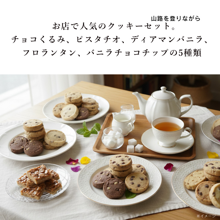 長崎県公式】ジェニュイン クッキー5箱入り（チョコくるみ、ピスタチオ
