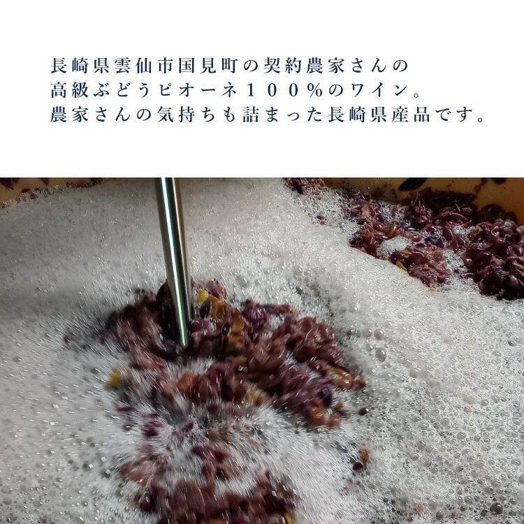 【長崎県公式】小浜温泉ワイナリー ジャッロエア...の詳細画像2